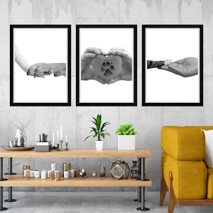Paw and Hand Printable Wall Art Veterinarian Office Wall Art Dog Paw Vet Clinic Wall Art Cat Paw Veterinary Clinic Decor Vet Med Art Digital