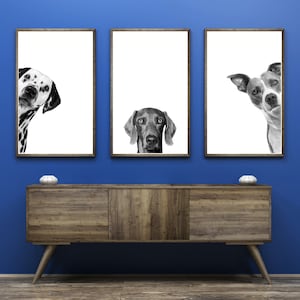 Peeking Dogs Printable Wall Art Dog Vet Med Wall Art Veterinarian Office Wall Decor Veterinary Clinic Wall Art Dog Portrait Vet Digital Art