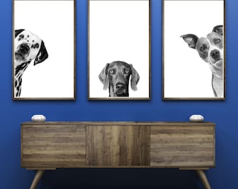 May include: Three framed black and white photographs of dogs peeking around the edges of the frames. The frames are hanging on a blue wall above a wooden cabinet.