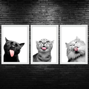 Cat Lick Color Pop Printable Wall Art Cat Veterinary Clinic Wall Art Cat Veterinarian Office Decor Cat Clinic Wall Art Funny Vet Office Art