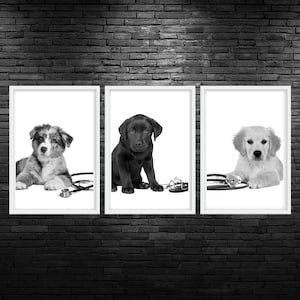 Black and White Puppy Stethoscope Printable Wall Art Puppy Stethoscope Veterinary Office Decor Vet Stethoscope Veterinarian Clinic Artwork