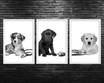 Black and White Puppy Stethoscope Printable Wall Art Puppy Stethoscope Veterinary Office Decor Vet Stethoscope Veterinarian Clinic Artwork