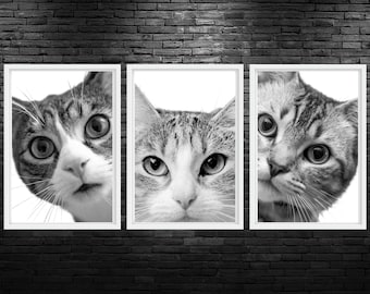 Kat portretten Trio afdrukbare Wall Art Cat Veterinary Clinic Wall Art Cat Vet Hospital Decor Cat Veterinarian Office Wall Art Dierenarts Med Art