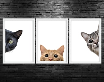 May include: Three framed pictures of cats peeking out from behind the frames. The cat on the left is black, the cat in the middle is orange, and the cat on the right is gray and white.