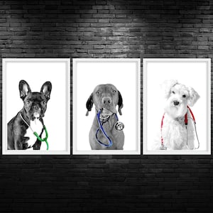 May include: Three framed black and white photographs of dogs wearing stethoscopes. The dog on the left is a French Bulldog, the dog in the middle is a Pointer, and the dog on the right is a Schnauzer.
