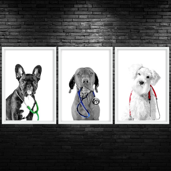 Pup Docs Color Pop Printable Wall Art Dog Vet Med Wall Art Dog Stethoscope Veterinarian Clinic Decor Dog Veterinary Office Wall Art Digital