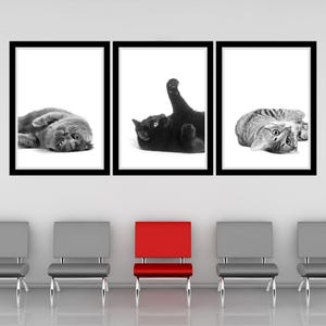 May include: Three black framed pictures of cats in different poses. The pictures are hanging on a white wall above a red chair and three gray chairs.