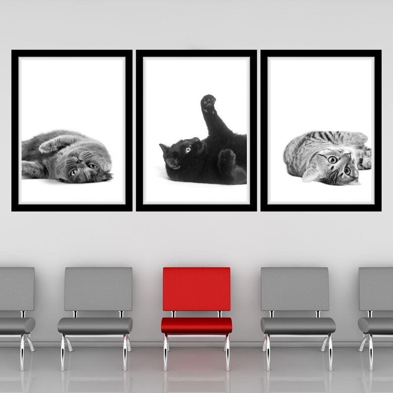 May include: Three black framed pictures of cats in different poses. The pictures are hanging on a white wall above a red chair and three gray chairs.