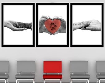 Poot en handen kleur pop afdrukbare muur kunst poot handen dierenarts kantoor decor huisdier poot dierenarts kliniek muur kunst dierenarts praktijk poster kunst