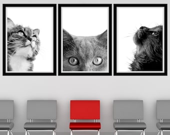 Cat Portrait Printable Wall Art Vet Office Wall Art Cat Clinic Wall Art Veterinary Office Wall Art Vet Clinic Wall Decor Pet Clinic Wall Art