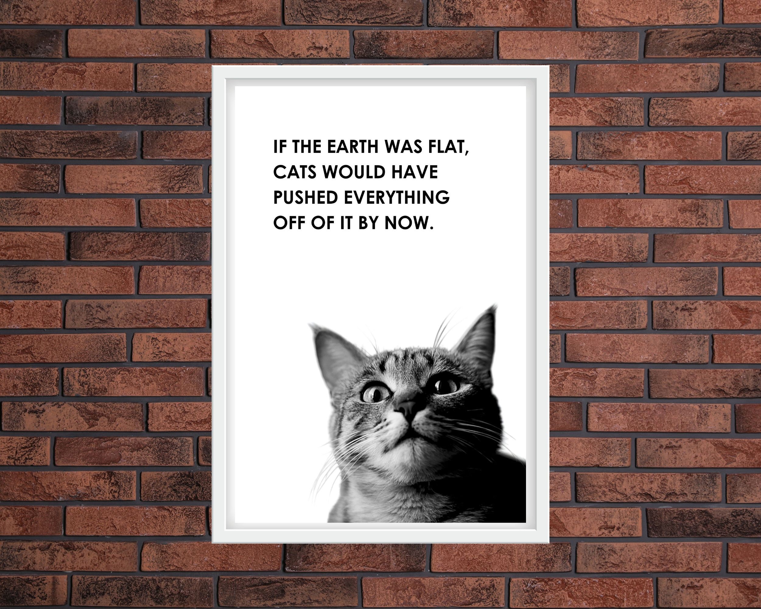 Funny Cat Quote Printable Wall Art Funny Vet Quote Clinic Wall Art ...