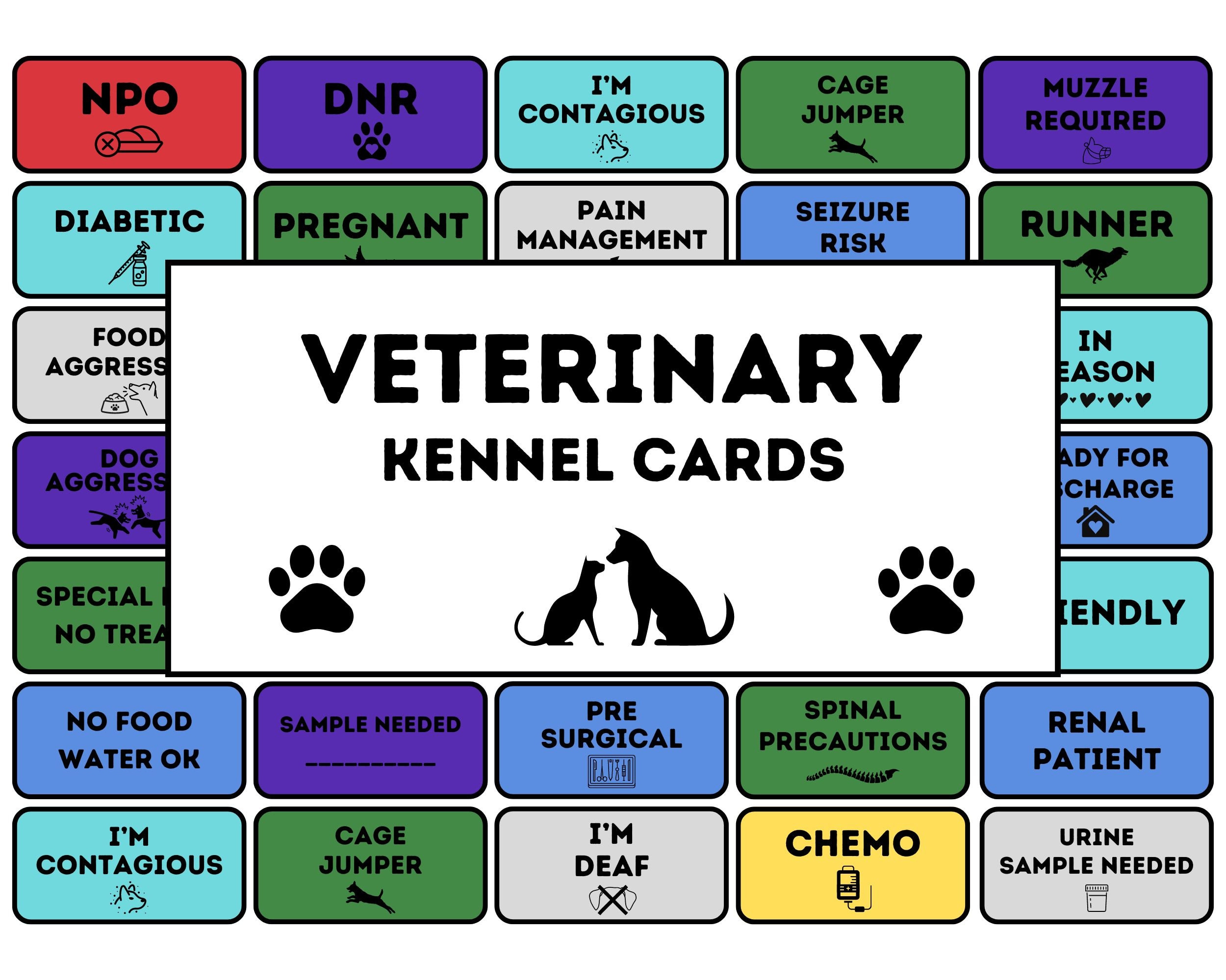 Veterinary Cage Cards Veterinarian Kennel Cards Digital Vet Cage