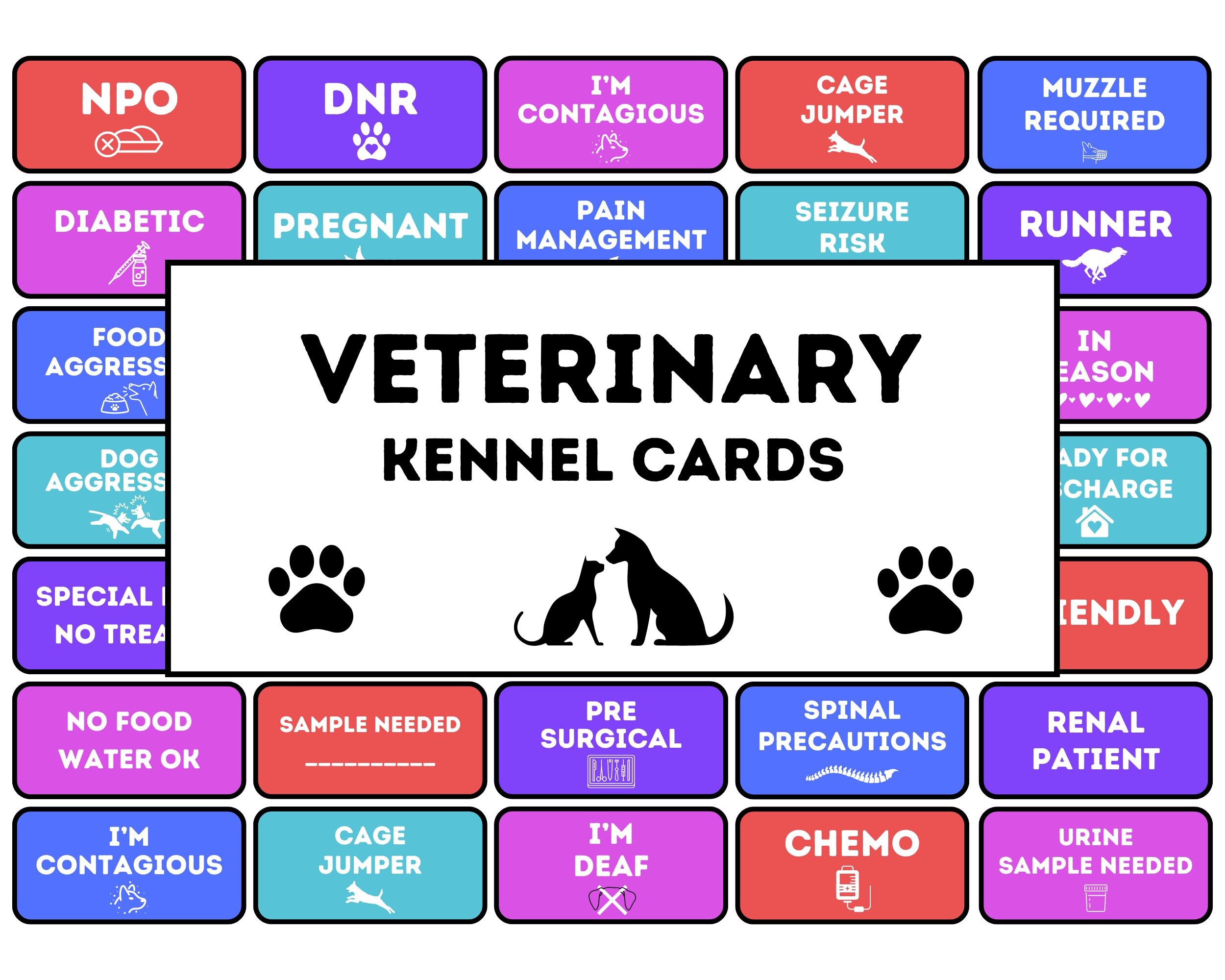 Veterinary Cage Cards Bright Palette Set Digital Vet Kennel Cards