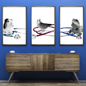 Small Pet Vet Stethoscope Printable Wall Art Small Pet Veterinary Office Decor Pet Veterinarian Clinic Wall Art Animal Clinic Wall Art Print