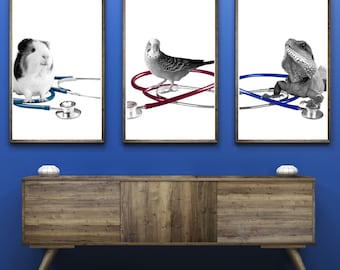 Small Pet Vet Stethoscope Printable Wall Art Small Pet Veterinary Office Decor Pet Veterinarian Clinic Wall Art Animal Clinic Wall Art Print