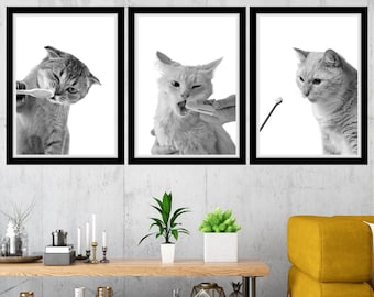 Dental Cat Printable Wall Art Cat Veterinary Clinic Wall Art Cat Dental Vet Med Art Cat Veterinarian Office Decor Dental Care Cat Vet Prints