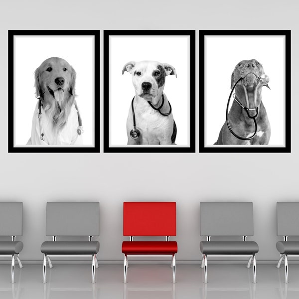 Dog Doctor Printable Wall Art Pet Portrait Veterinarian Clinic Decor Medical Dog Vet Clinic Wall Art Veterinary Office Decor Pet Clinic Art