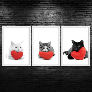 Cat Hearts Color Pop Trio Printable Wall Art Cat Veterinary Practice Poster Cat Veterinarian Office Decor Cat Vet Med Art Digital Wall Print