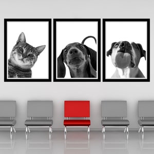 Funny Dog And Cat Portrait Printable Wall Art Funny Vet Clinic Art Digital Cute Pet Portrait Wall Art Veterinary Office Decor Pet Clinic Art