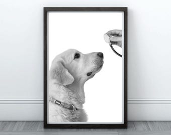 Golden Retriever Stethoscope Printable Wall Art Vet Stethoscope Veterinary Clinic Decor Pet Medical Veterinarian Office Decor