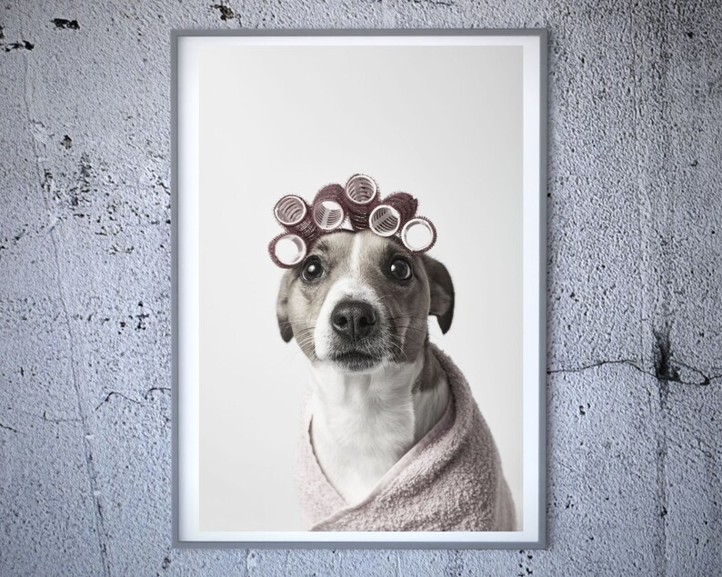 Funny Dog Portrait Printable Wall Art Vet Office Decor Funny Etsy