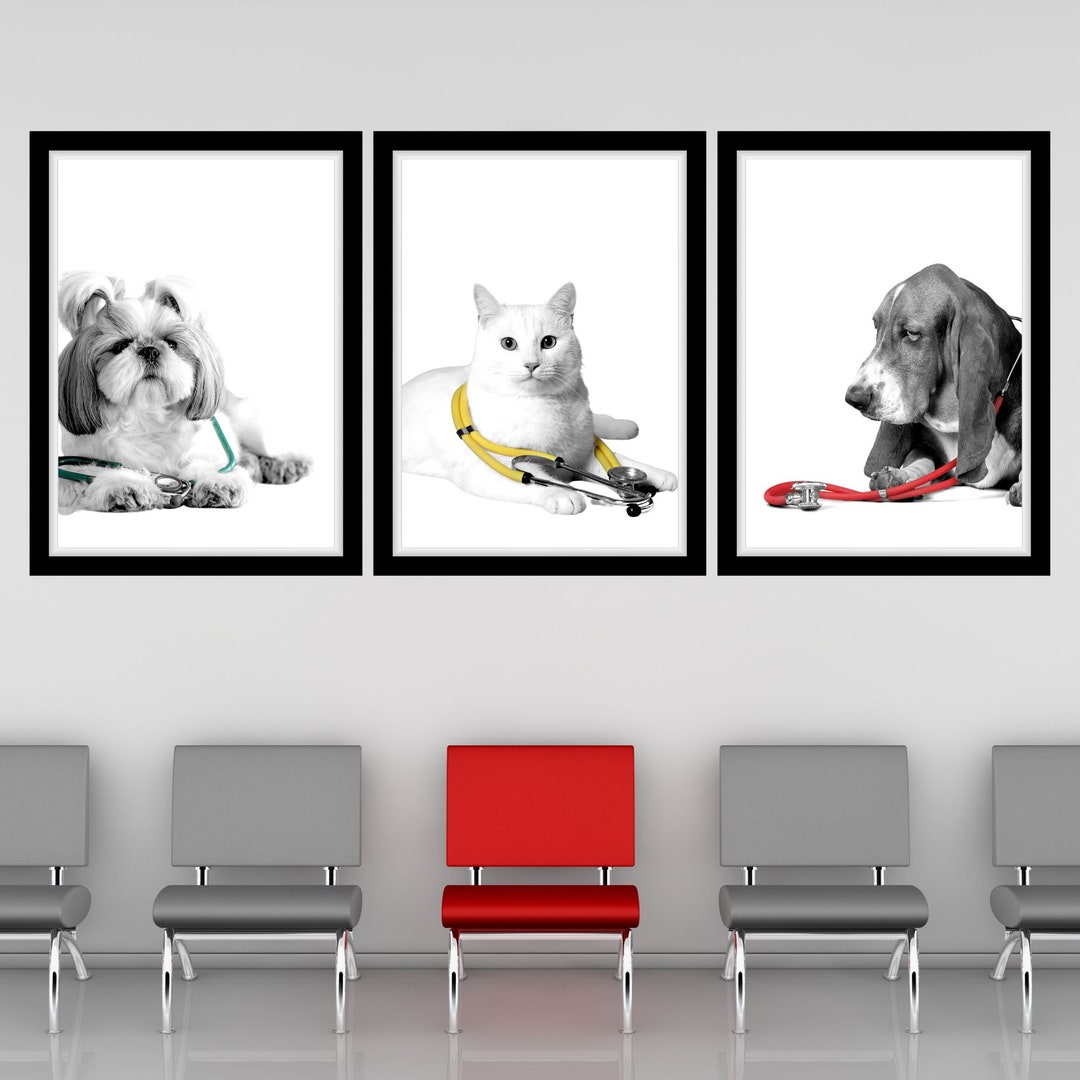 Picture Idea: Pet Vet Stethoscope Printable Wall Art Veterinary Clinic Decor