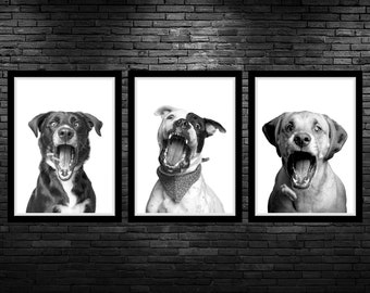 Funny Dog Vet Med Printable Wall Art Funny Veterinarian Office Decor Dogs Catching Treats Wall Art Vet Clinic Decor Dog Groomer Decor Prints