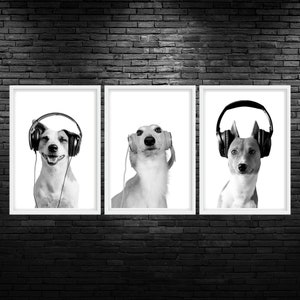 Dogs In Headphones Printable Wall Art Funny Veterinarian Office Decor Funny Dog Vet Clinic Wall Art Funny Veterinary Office Wall Art Digital