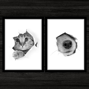 Funny Pet Printable Wall Art Funny Vet Clinic Decor Cat And Dog Wall Art Veterinarian Clinic Wall Art Pet Clinic Decor Veterinary Office Art