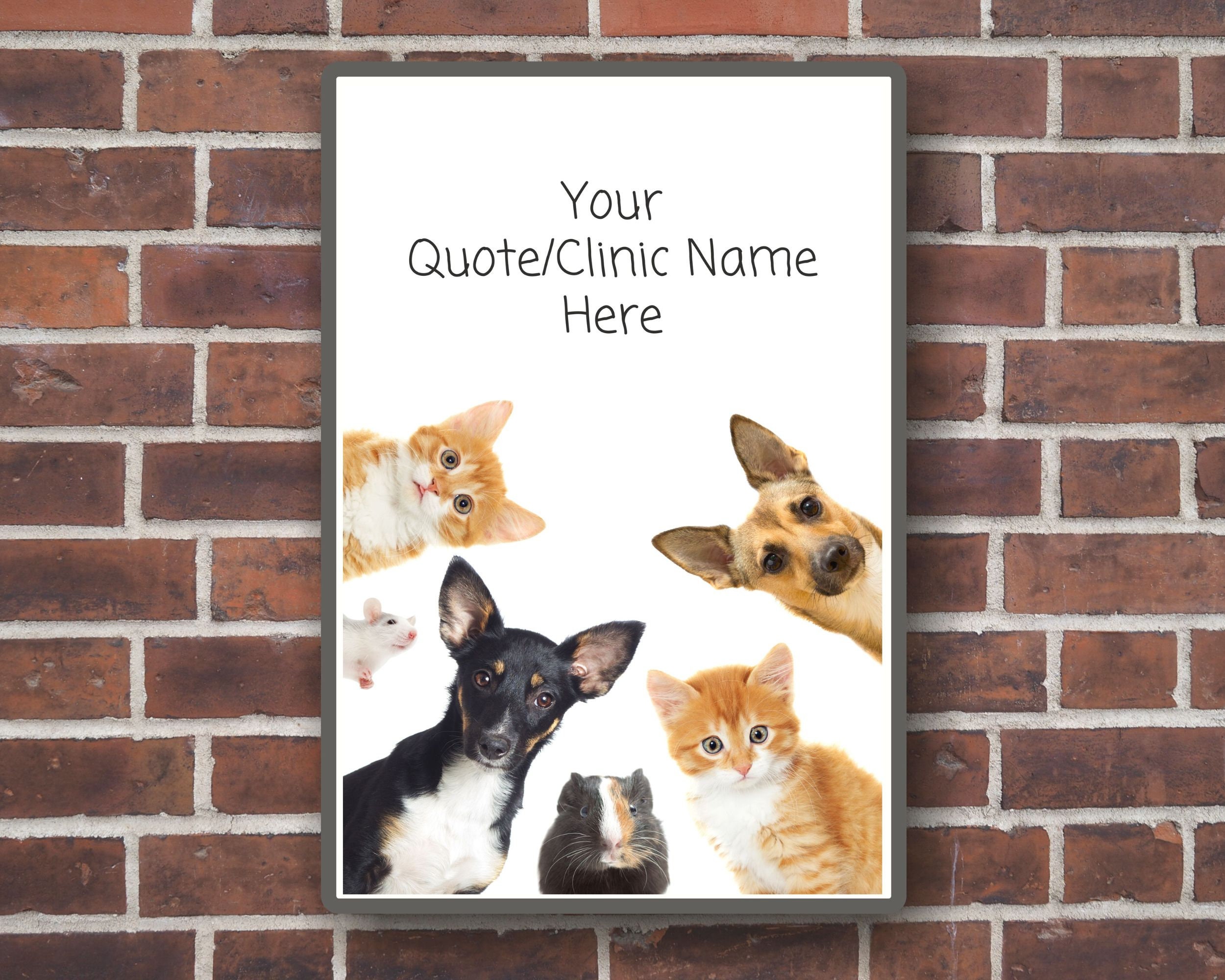 Veterinary Office Decor Printable Wall Art Vet Office Wall Art