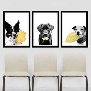 Puede incluir: Un conjunto de tres cuadros de pared con retratos de perros en blanco y negro. Cada perro sostiene una hoja de otoño amarilla en la boca. Los perros son un can moteado, un labrador negro y un terrier con un collar de punto gris.