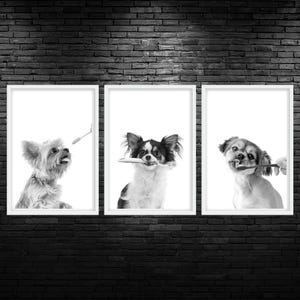 Dog Dental Trio Printable Wall Art Dog Dentist Wall Art Dog Dental Veterinary Clinic Decor Dog Toothbrush Veterinarian Office Wall Art Decor