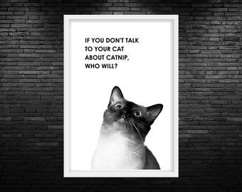 Catnip Talk Funny Cat Quote Printable Wall Art Funny Cat Vet Clinic Wall Art Funny Cat Saying Poster Funny Veterinarian Office Decor Vet Art