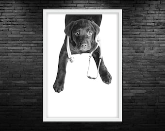 Puppy Stethoscope Veterinary Printable Wall Art Dog Vet Med Wall Art Dog Veterinary Clinic Wall Art Puppy Vet Office Decor Digital