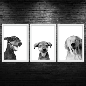 Laughing Dogs Trio Printable Wall Art Cute Funny Dogs Veterinary Clinic Decor Happy Dogs Veterinarian Office Wall Art Dogs Laughing