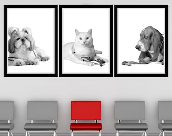 Doctor Pets Printable Wall Art Pet Stethoscope Wall Art Vet Stethoscope Wall Art Veterinary Clinic Decor Vet Med Art Digital Veterinarian