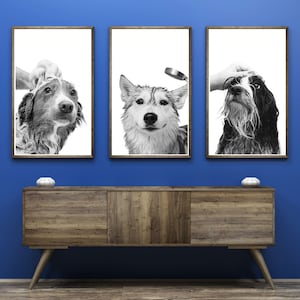 Dog Bath Time Trio Printable Wall Art Dog Grooming Salon Wall Art Dog Groomer Decor Dog Spa Wall Art Dog Grooming Wall Art Dog Vet Med Art