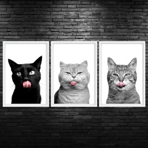 Feline Tongue Color Pop Printable Wall Art Funny Cat Veterinary Clinic Decor Cat Vet Practice Art Digital Vet Med Poster Cat Veterinarian