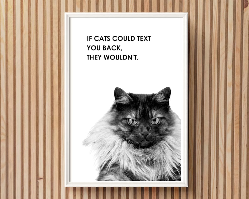 Funny Cat Quote Printable Wall Art Funny Cat Vet Clinic Wall Art Funny ...