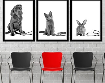 May include: Three black and white framed pictures of a dog, cat, and rabbit, each with a stethoscope. The pictures are hanging on a white brick wall above three chairs. The middle chair is red, and the chairs on either side are black.