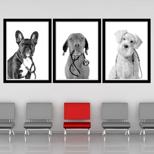 Dogs With Stethoscopes Printable Wall Art Dog Vet Med Wall Art Digital Veterinary Clinic Decor Vet Office Wall Art Animal Clinic Wall Art