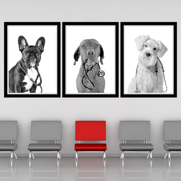 Veterinary Art Etsy