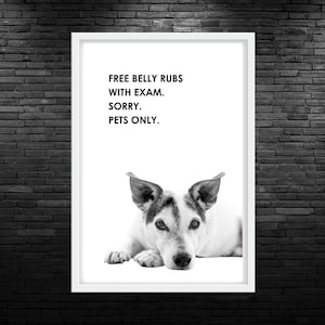 Free Belly Rub Quote Printable Wall Art Funny Vet Quote Poster Digital Vet Med Art Funny Quote Veterinary Clinic Wall Art Funny Vet Sign