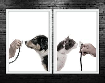 Cat And Dog Color Stethoscope Printable Wall Art Stethoscope Vet Med Wall Art Veterinary Clinic Decor Color Wall Art Vet Office Decor