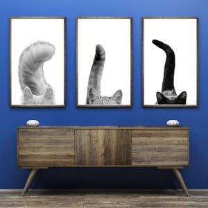 Cat Tails Printable Wall Art Cat Veterinarian Office Wall Art Cat Veterinary Clinic Decor Cat Vet Med Art Digital Cat Clinic Wall Art Poster