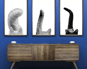 Cat Tails Printable Wall Art Cat Veterinarian Office Wall Art Cat Veterinary Clinic Decor Cat Vet Med Art Digital Cat Clinic Wall Art Poster