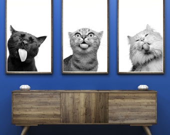 Funny Cat Vet Printable Wall Art Funny Vet Med Wall Art Digital Veterinary Office Decor Veterinarian Clinic Wall Art Funny Animal Clinic Art