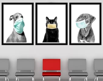 Pet Mask Color Pop Printable Wall Art Vet Medicine Wall Art Veterinary Practice Decor Veterinarian Clinic Wall Art Vet Hospital Art Digital