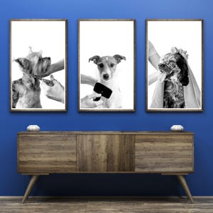 Grooming Pup Trio Printable Wall Art Dog Grooming Trio Pet Grooming Salon Decor Dog Grooming Salon Wall Art Groomer Pet Portrait Trio