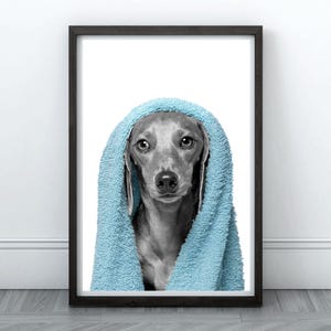Doxie Bath Towel Printable Wall Art Dog Bath Time Wall Art Dog Groomer Wall Art Dog Grooming Salon Decor Dog In Towel Print Cute Dog Bath